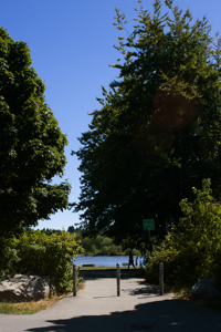 commercial drive at trout lake