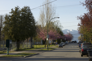 Woodland drive Vancouver view
