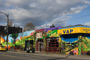 commercial drive trees