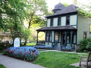 Vancouver Street Tree